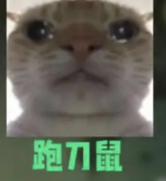 _大保健398元有哪些服务_下单陪玩妹子是什么软件