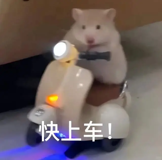 资邦金服年度上演__山东滨化滨阳燃化有限公司
