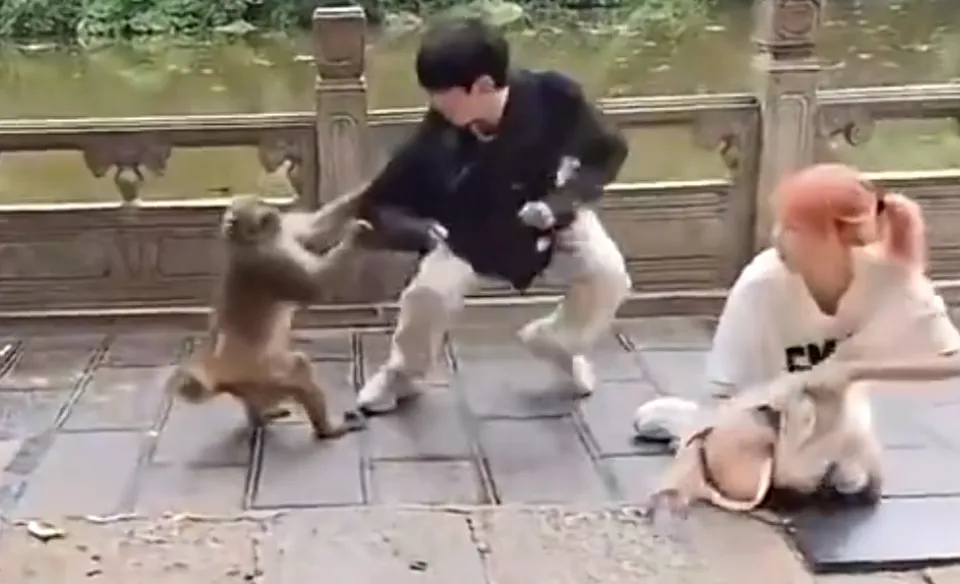 两人配合搞笑动作模仿_猴王尬舞_