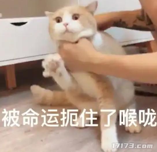 _腾讯网易都难免翻车？18年经典IP头铁再搞归来服，只为让玩家爽_腾讯网易都难免翻车？18年经典IP头铁再搞归来服，只为让玩家爽