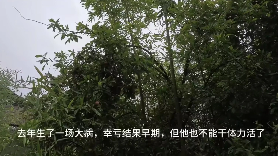 _LPL年度最惨上单：巅峰期嘲讽TheShy，新赛季被背刺失业回农村_LPL年度最惨上单：巅峰期嘲讽TheShy，新赛季被背刺失业回农村