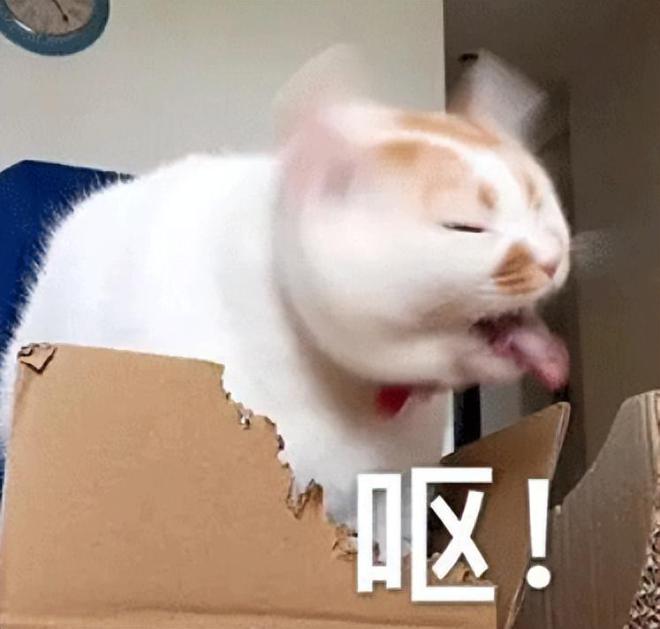 _还有高手？白毛黑丝高跟长鞭，你这16+二游《归环》玩的挺开啊！_还有高手？白毛黑丝高跟长鞭，你这16+二游《归环》玩的挺开啊！