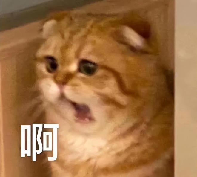 国产手游市场超卷，十年前爆火玩法如今凭啥再刷存在感？