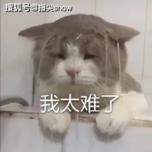 小众硬核的SLG游戏竟衰败？率土之滨青春服凭啥逆天改命！？