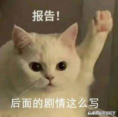_游戏策划什么意思_策划游戏