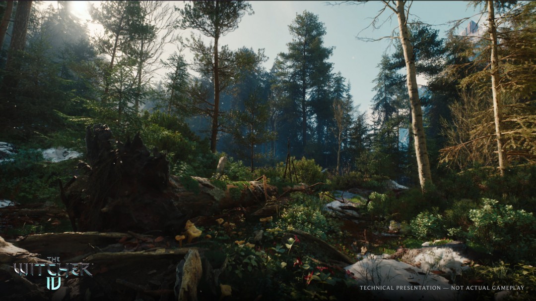 3d建模虚拟展示技术_3d展示中国功夫_