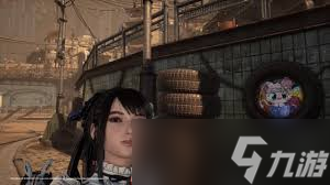 猫咪摄影大赛_猫摄影工作室_