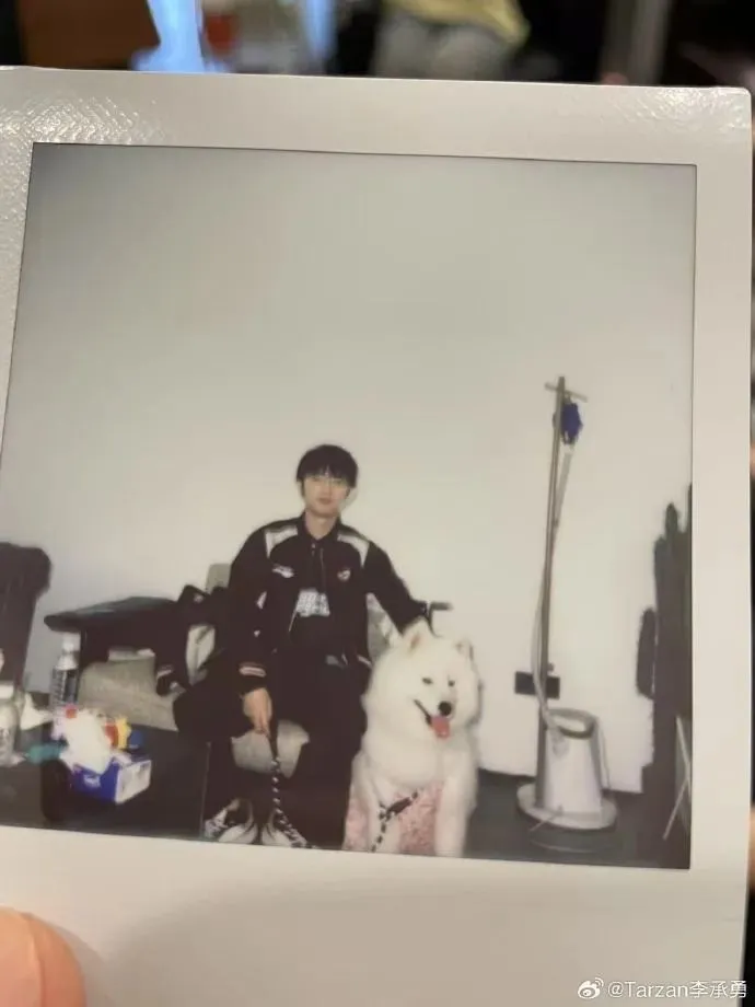 世界杯已淘汰队伍_公务员连续两年不称职_