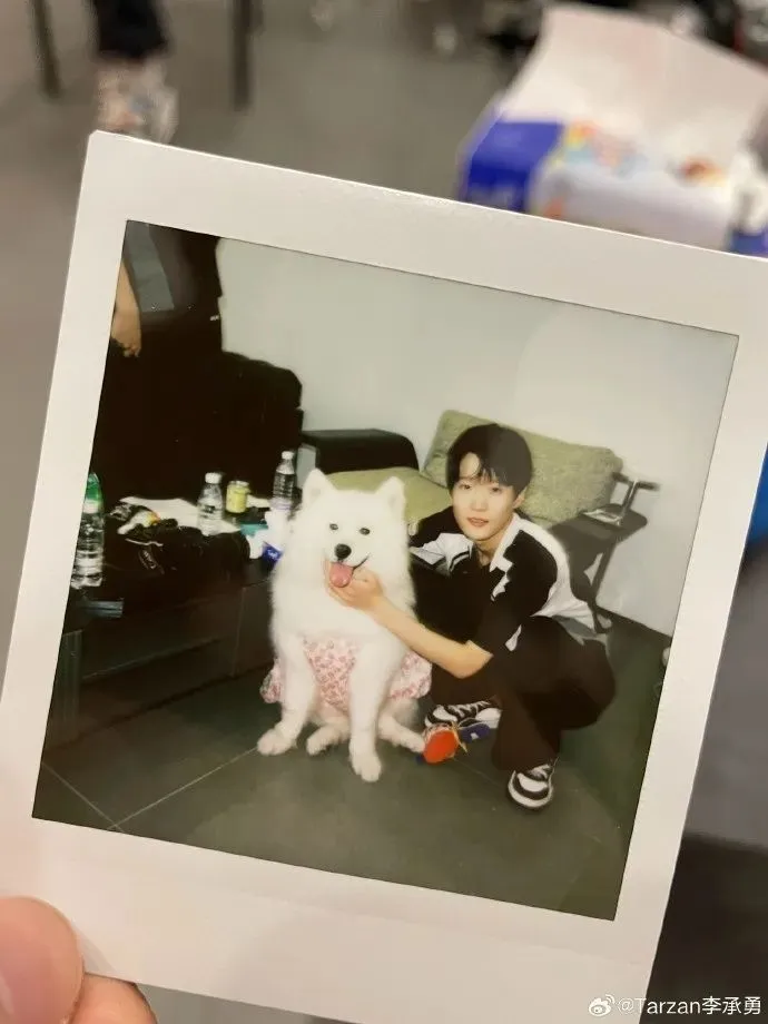 世界杯已淘汰队伍__公务员连续两年不称职