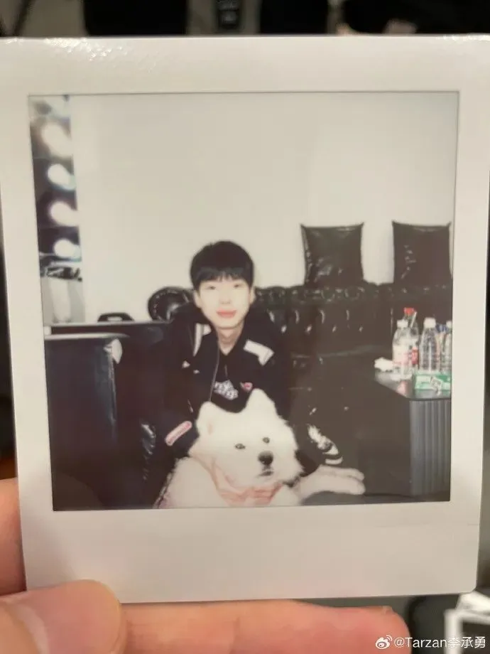 世界杯已淘汰队伍__公务员连续两年不称职