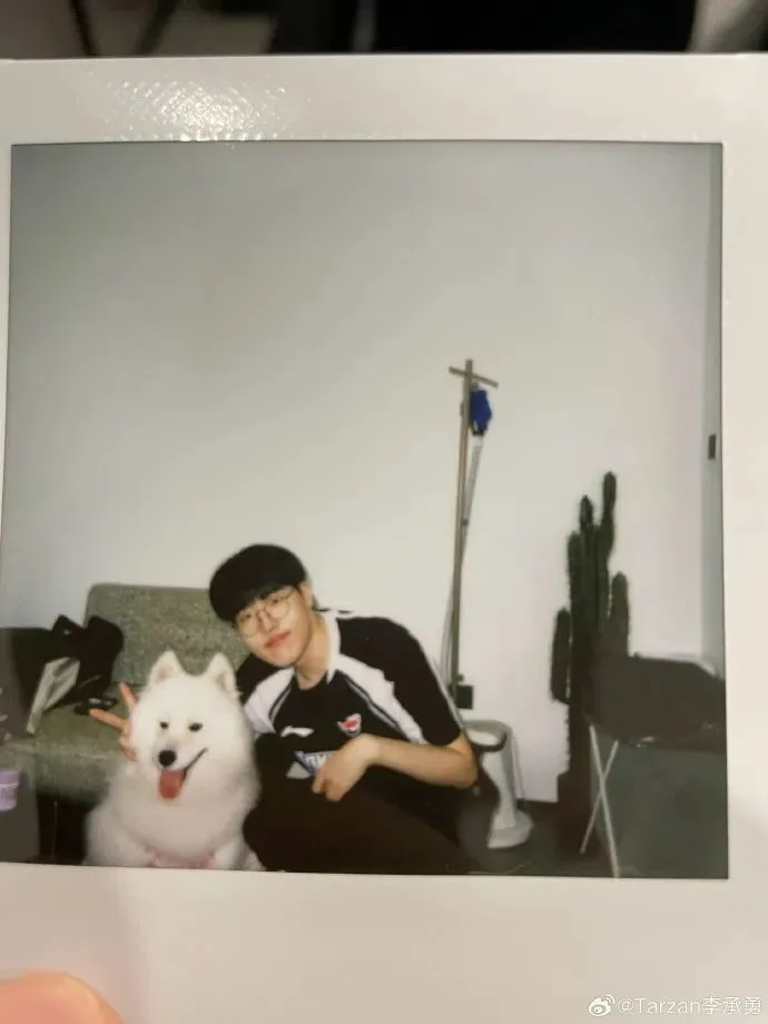 _世界杯已淘汰队伍_公务员连续两年不称职