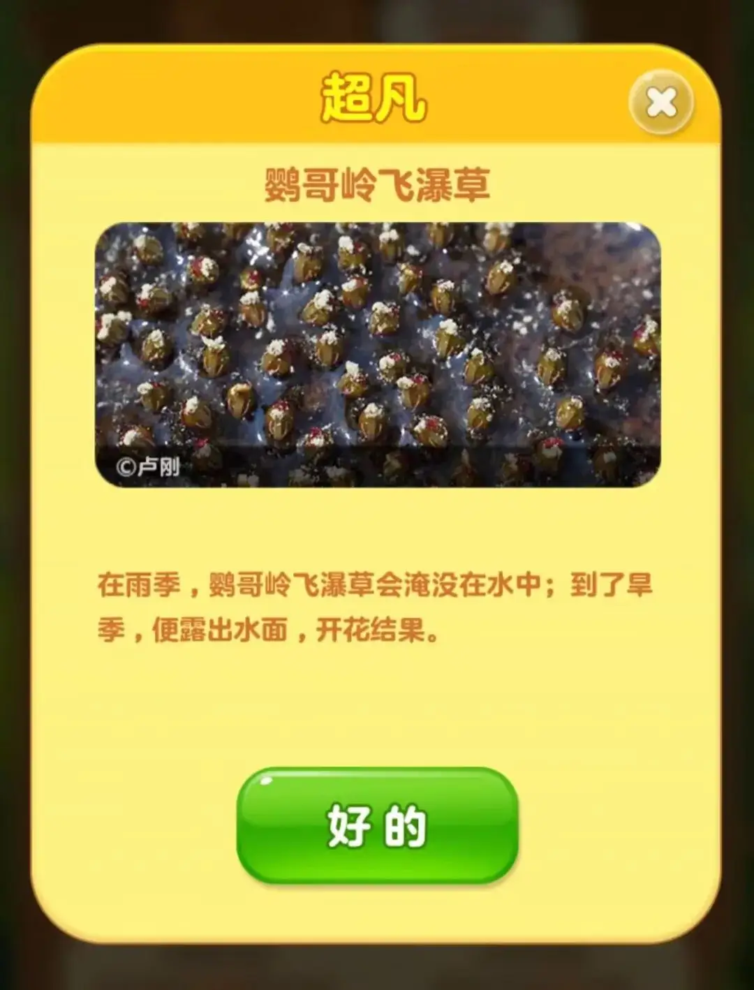 5亿次组队升级，这个游戏的公益活动“卷”出新高度__5亿次组队升级，这个游戏的公益活动“卷”出新高度