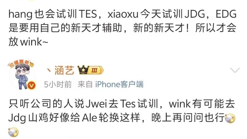越南队msi_越南战队女辅助_