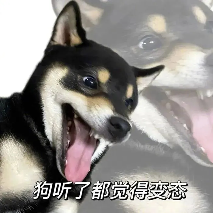 _为了参加女子电竞比赛，这帮“男变态”硬说自己是女的_为了参加女子电竞比赛，这帮“男变态”硬说自己是女的