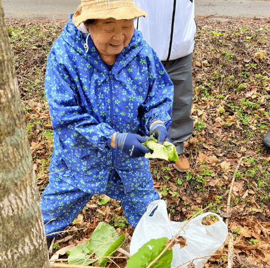 功夫菜什么意思__功夫特效做菜up