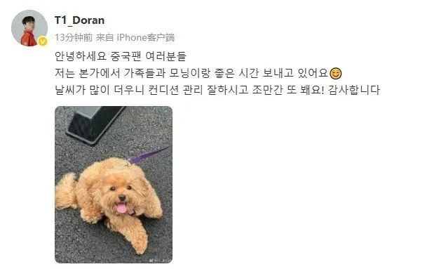 Bwipo：Bin就是我在韩服遇到过最强的对线选手；国际赛击杀榜前20选手：Faker胜率高达71.32%！_Bwipo：Bin就是我在韩服遇到过最强的对线选手；国际赛击杀榜前20选手：Faker胜率高达71.32%！_