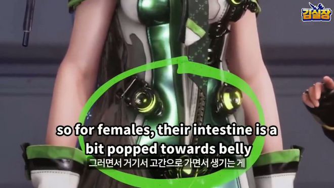 _臀部解剖图_臀部解剖部位名称