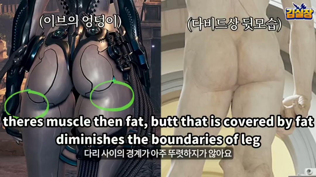 臀部解剖图__臀部的解剖学结构