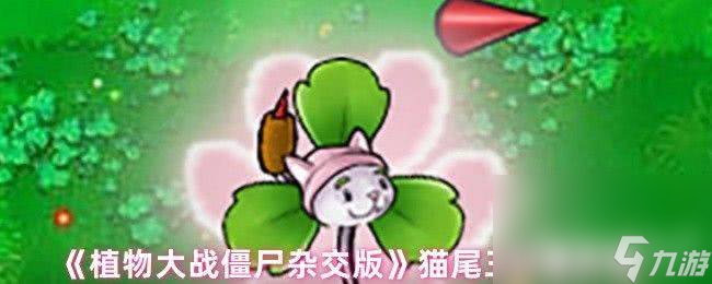 _玩偶匣僵尸vs橄榄球僵尸_植物大战僵尸南瓜怪