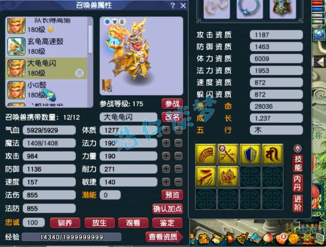 _梦幻西游大唐带什么特技装备_梦幻西游任务大唐特技