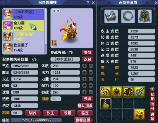 _梦幻西游天赋符_梦幻天赋符加什么属性划算