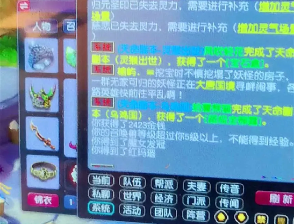 梦幻西游肉宠用什么好__梦幻西游召唤兽栏顺序
