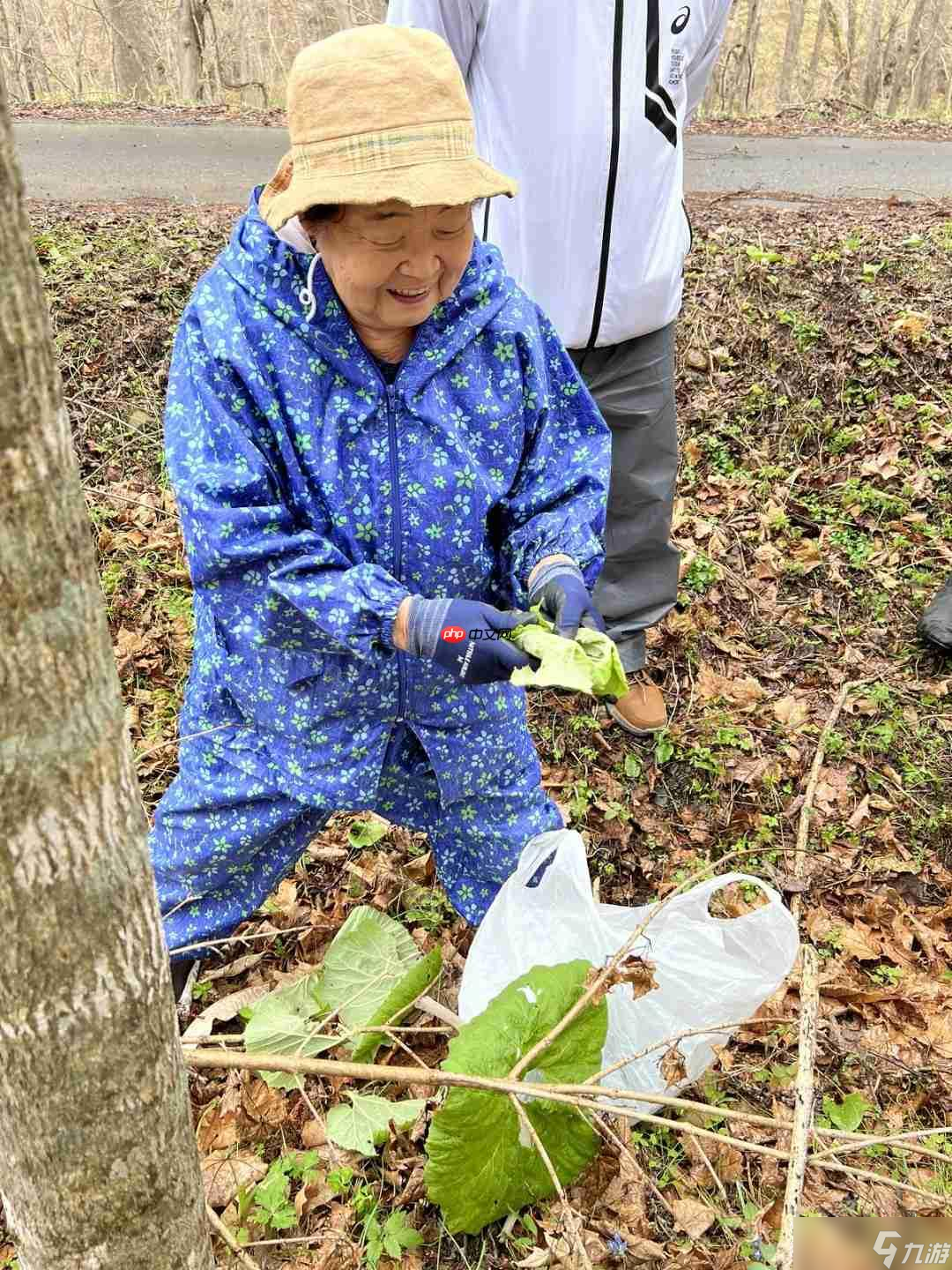 《羊蹄山之魂》确认加入采集食物 力求真实描绘北海道_《羊蹄山之魂》确认加入采集食物 力求真实描绘北海道_