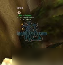 想在龙ol奇幻世界轻松完成黑猫任务拿丰厚奖励？快戳攻略