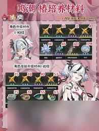 鸣潮奇幻世界！椿全方位一图流培养攻略你知道吗？