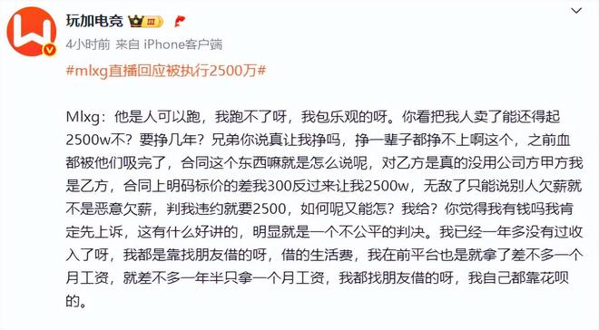 起诉赔偿金判决补偿金__诉讼赔偿收入