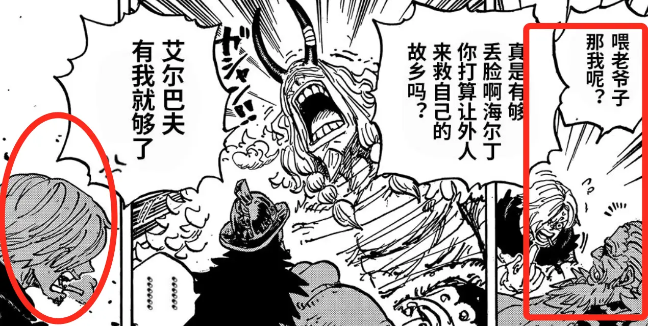 航海王霸王色霸气介绍__海贼王霸王色介绍