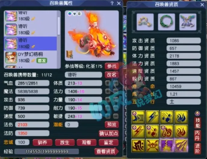 梦幻西游渔岛夺冠__梦幻渔岛老板