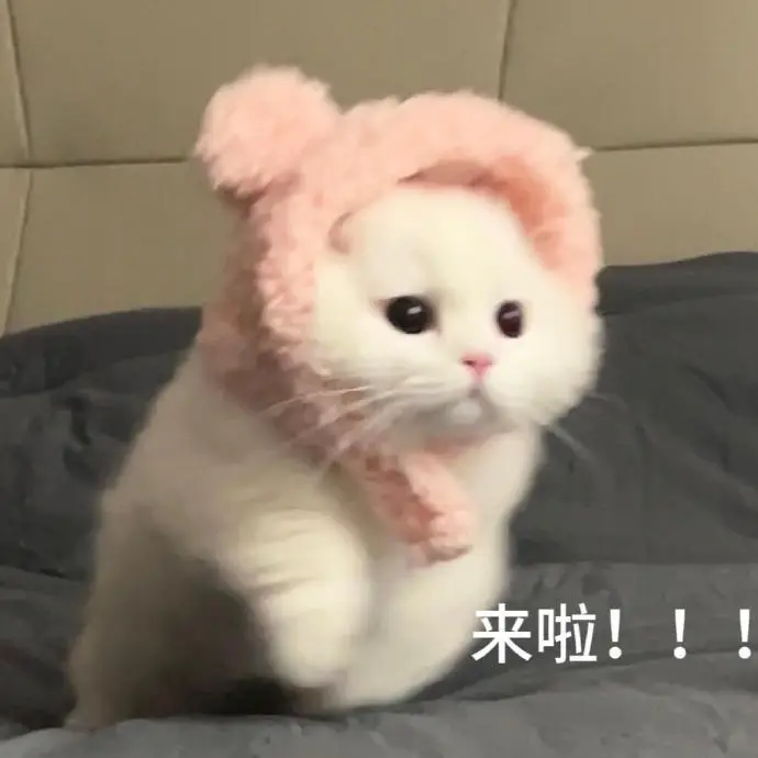 _从天使到奇佐：次元壁崩塌后的三国狂欢_从天使到奇佐：次元壁崩塌后的三国狂欢