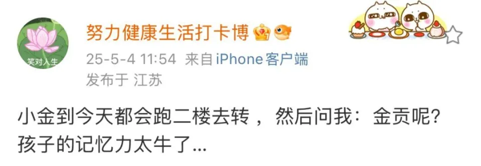 硬币哥下月忙行程！拍宣传片、参加周年活动，金贡也去？半年未见有何惊喜