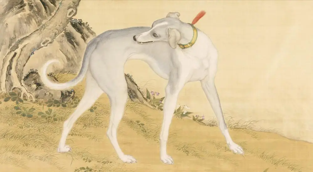 神话禁区全文阅读_神话禁区贴吧_