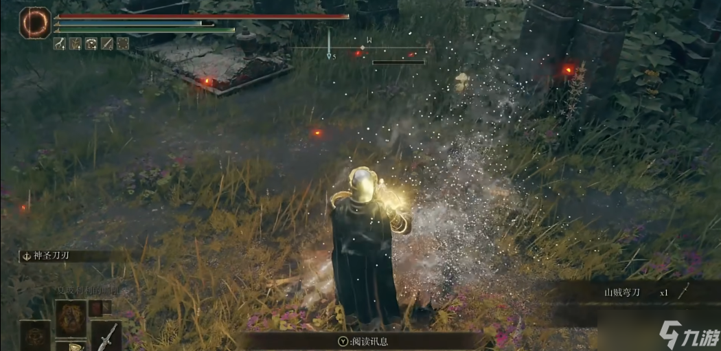 _艾尔登法环视频_艾登之环