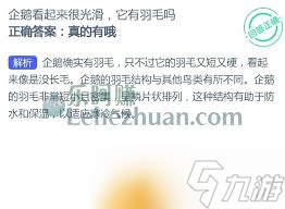 企鹅滑行__企鹅是光滑的还是毛的