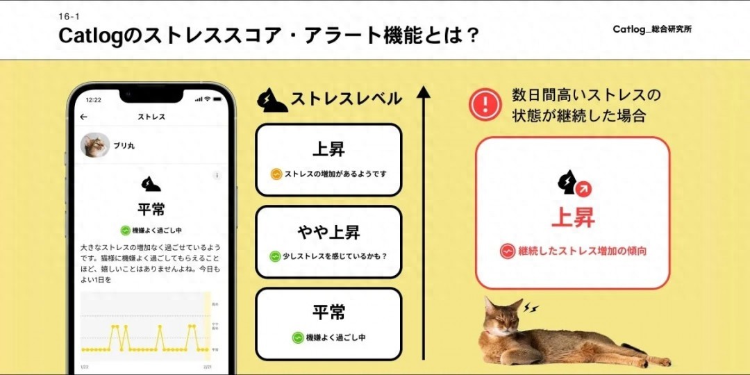 惊了！人类有智能穿戴设备，动物竟也有？猫咪智能项圈太神奇