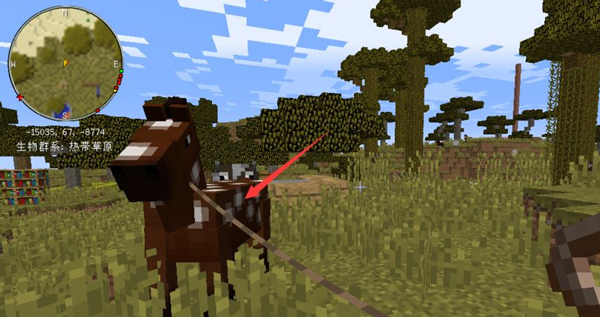 我的世界栓绳怎么用?