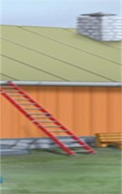 女孩魔术收养者