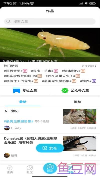 昆虫百科
