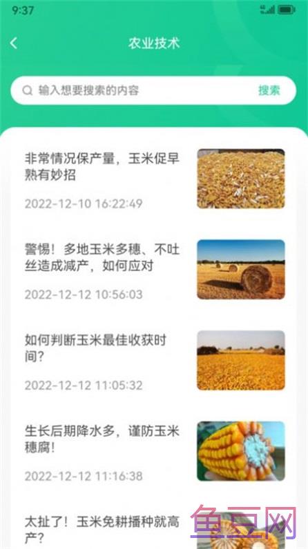 黑土地商城