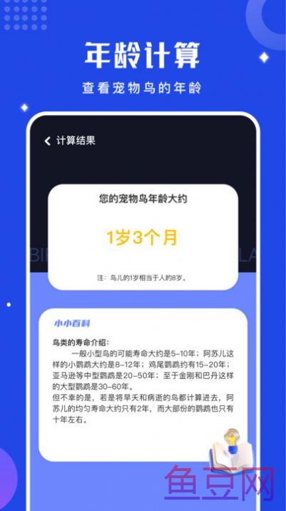 鸟语语言翻译器