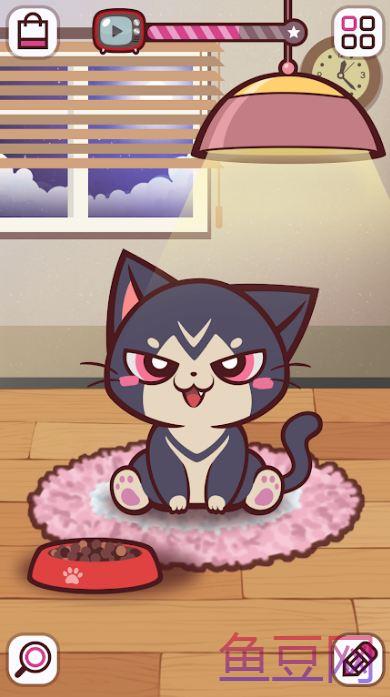 小猫的故事